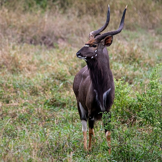 Imagen 44_edited.jpg