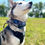 Thumbnail: Cooling Neck Wrap, Cooling Neck Wrap, 4 Adjustable Sizes