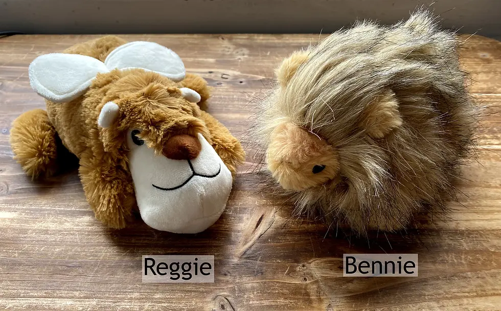 Squeaker Free Dog Toys, Soft Plush Faux Fur, Play, Love, Snuggle