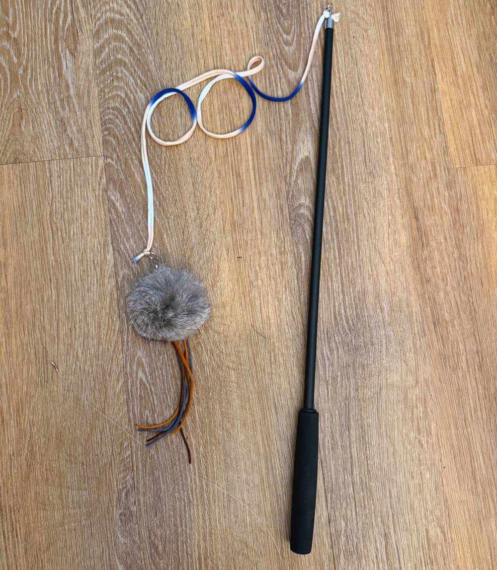 Cat Teaser, Telescopic Fishing Pole Toy Optional Lures