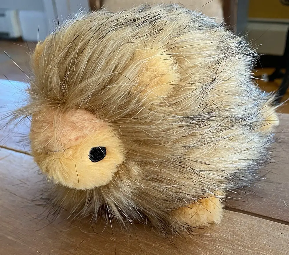 Thumbnail: Squeaker Free Dog Toys, Soft Plush Faux Fur, Play, Love, Snuggle