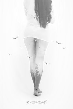 Model: