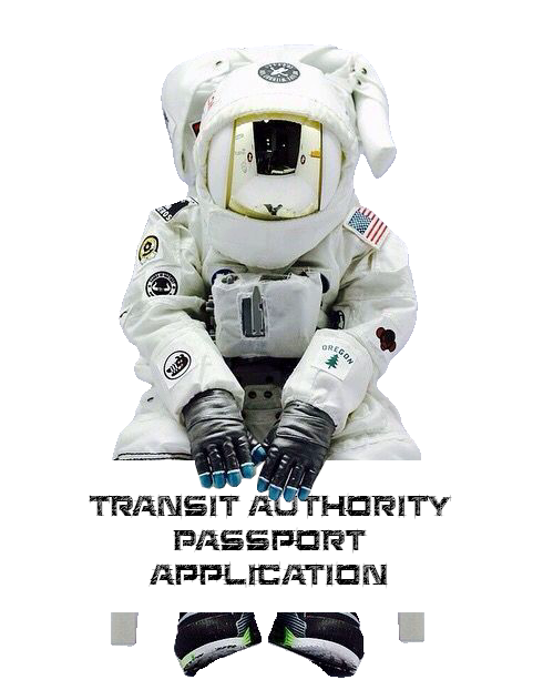 PASSPORT APPLICATION.png