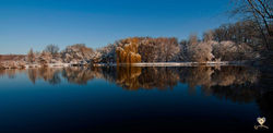 winter