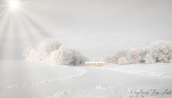Covered Bridge Renvile