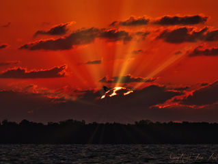 Early Morning on Blue Cypress Lake
