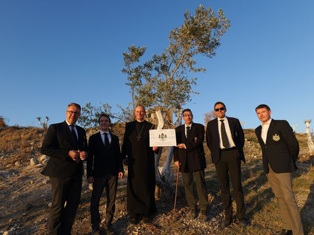 Premier parrainage des oliviers de Latroun