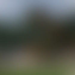 Th Best Parks & Playgrounds Around East Gwillimbury 