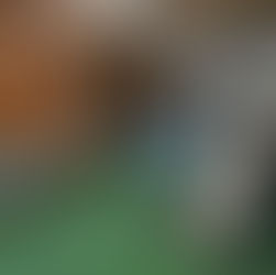 WINTER WITH KIDS IN EAST GWILLIMBURY