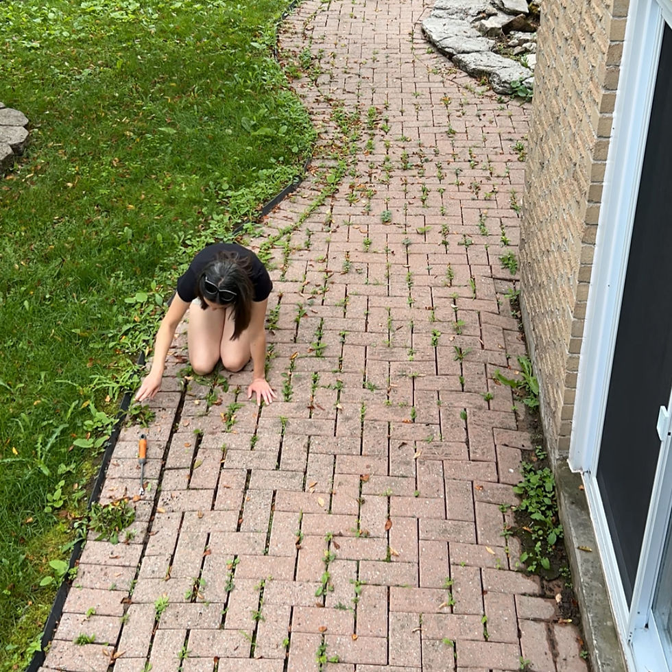 Holland Landing East Gwillimbury neighborhood homes and park trails real estate