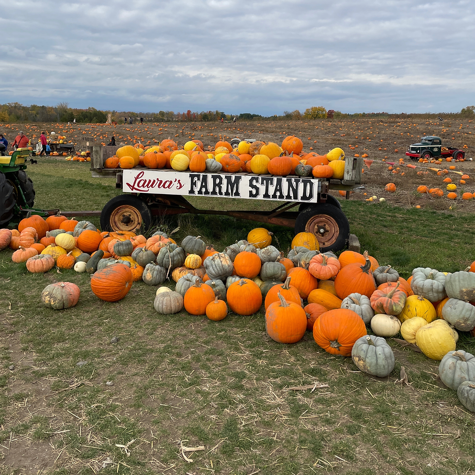THE TOP FAMILY FRIENDLY FARMS IN YORK REGION