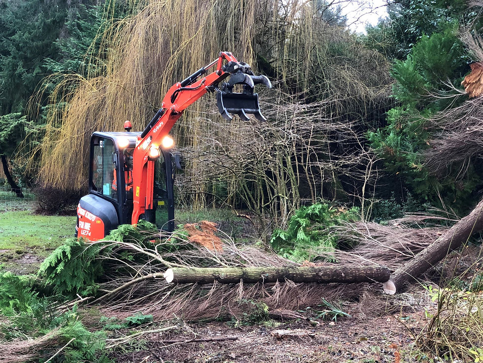 Mechanisation in Tree Work