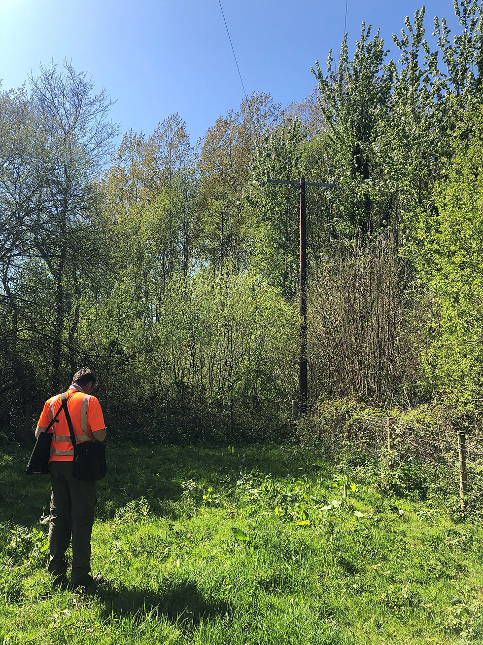 Tom Craven Spen Surveying