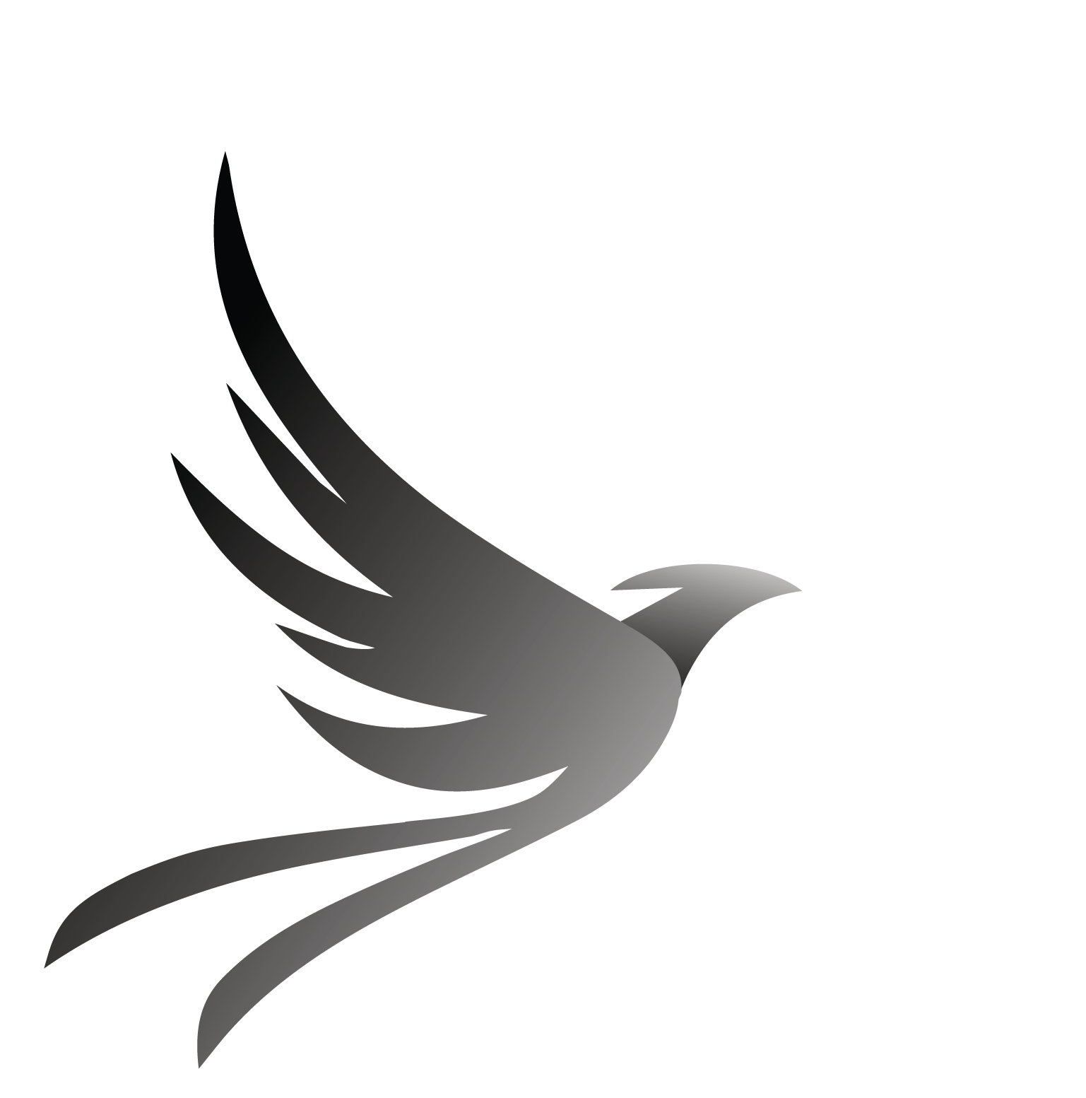 Evolution of SmarterBody logo - The Phoenix