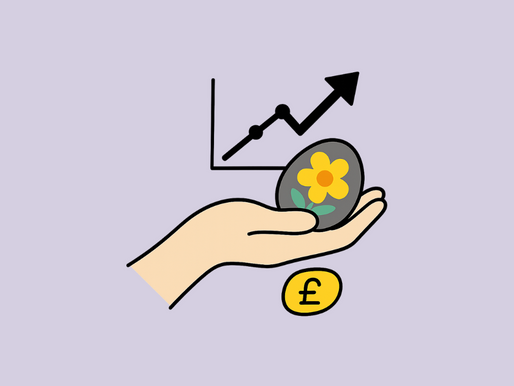 How Clarity Helped Jo’s Painted Pebbles Grow 27% Year on Year