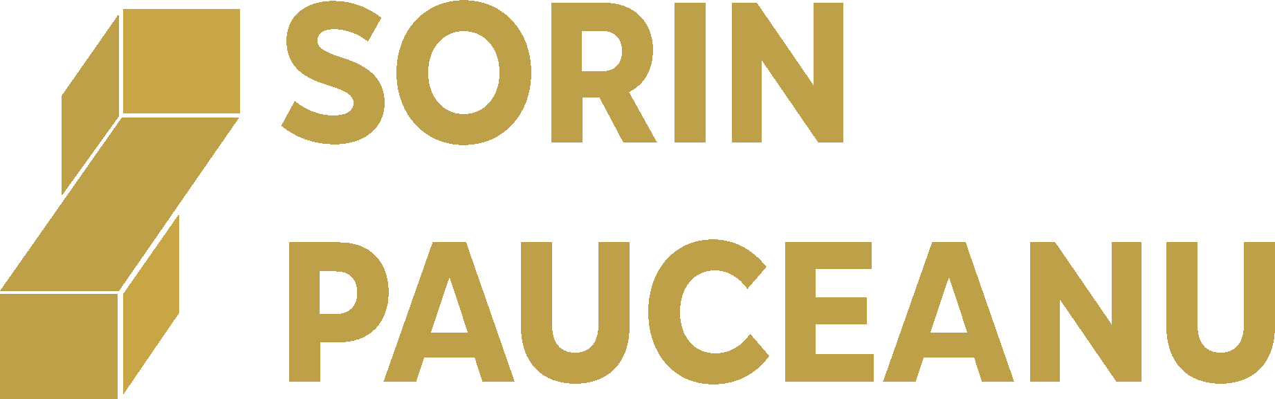 Logo_Sorin Fundal Deschis.png