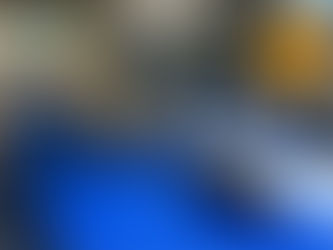 第11回地球環境史学会