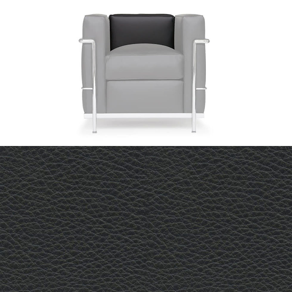 Thumbnail: Back Cushion for Armchair LC 2