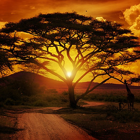 Africa_generic_1.jpg