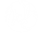 NMD-final-coralReverse.png