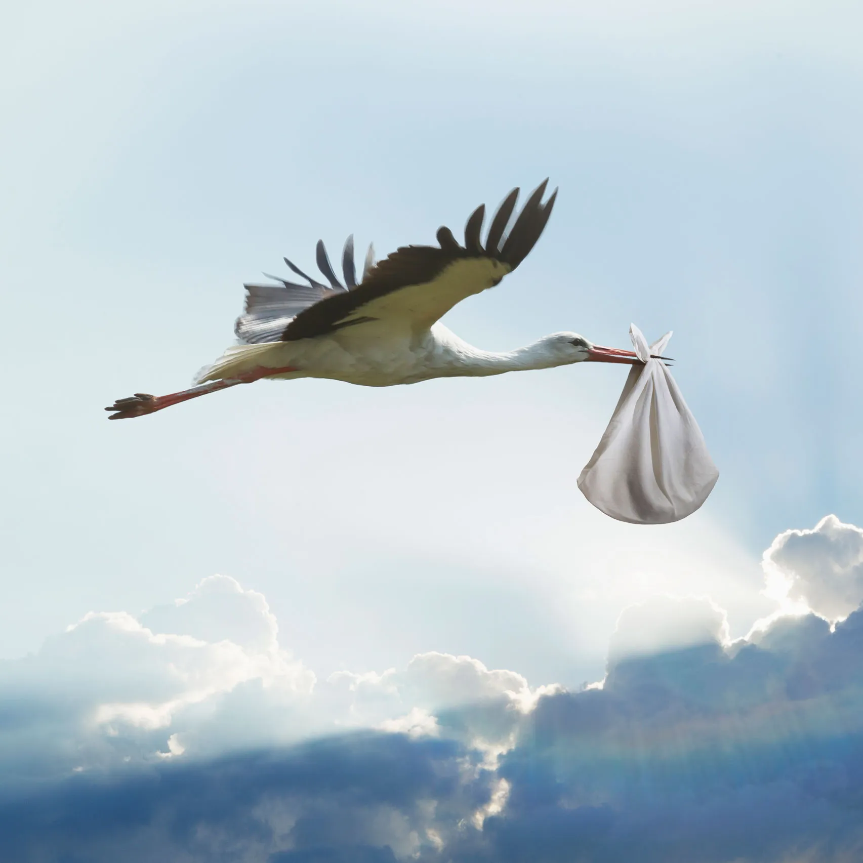 Stork Support