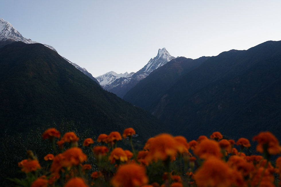 le Machhapuchhre 6 997m.jpg