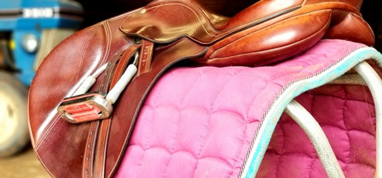 saddle.jpg
