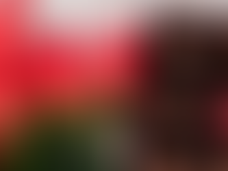 Chocolate, Roses, and Resilience: Nutrition Tips for Healthy Aging