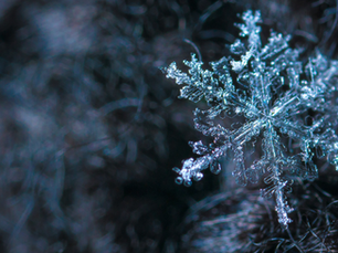 Chair Yoga for Winter Wellness: Simple Movements to Stay Warm, Mobile, and Energized All Season Long