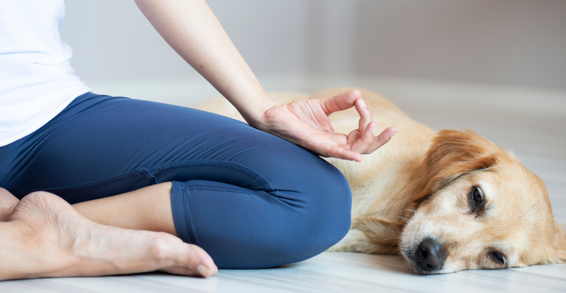 The Joyful Benefits of Doing Yoga with Your Pet: Movement, Mindfulness ...