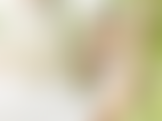 Finding Your Way Back to Yoga: How to Stay Motivated to Practice Yoga for Older Adults