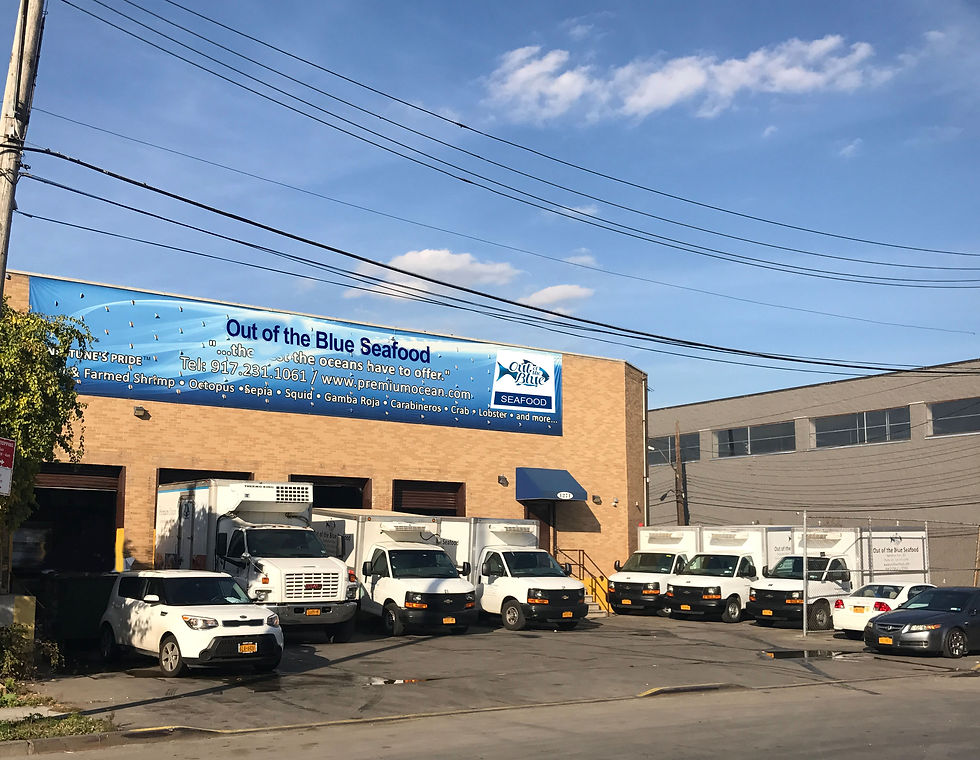 Ootb Bronx location