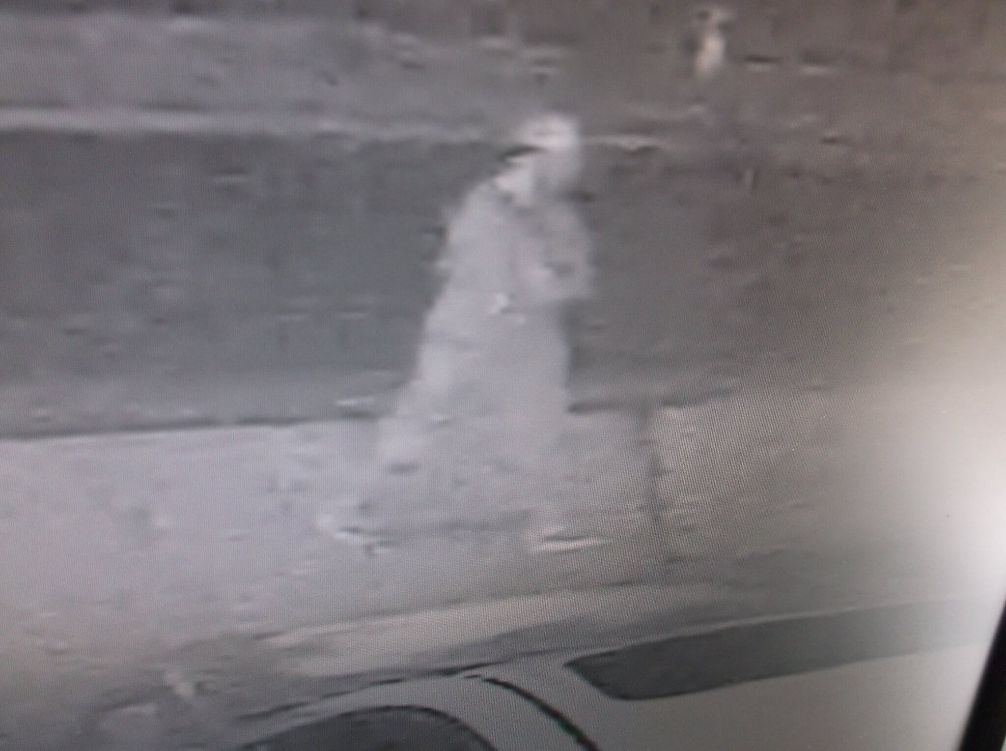 More Unlocked Car Burglaries in Seven Oaks, Wesley Chapel