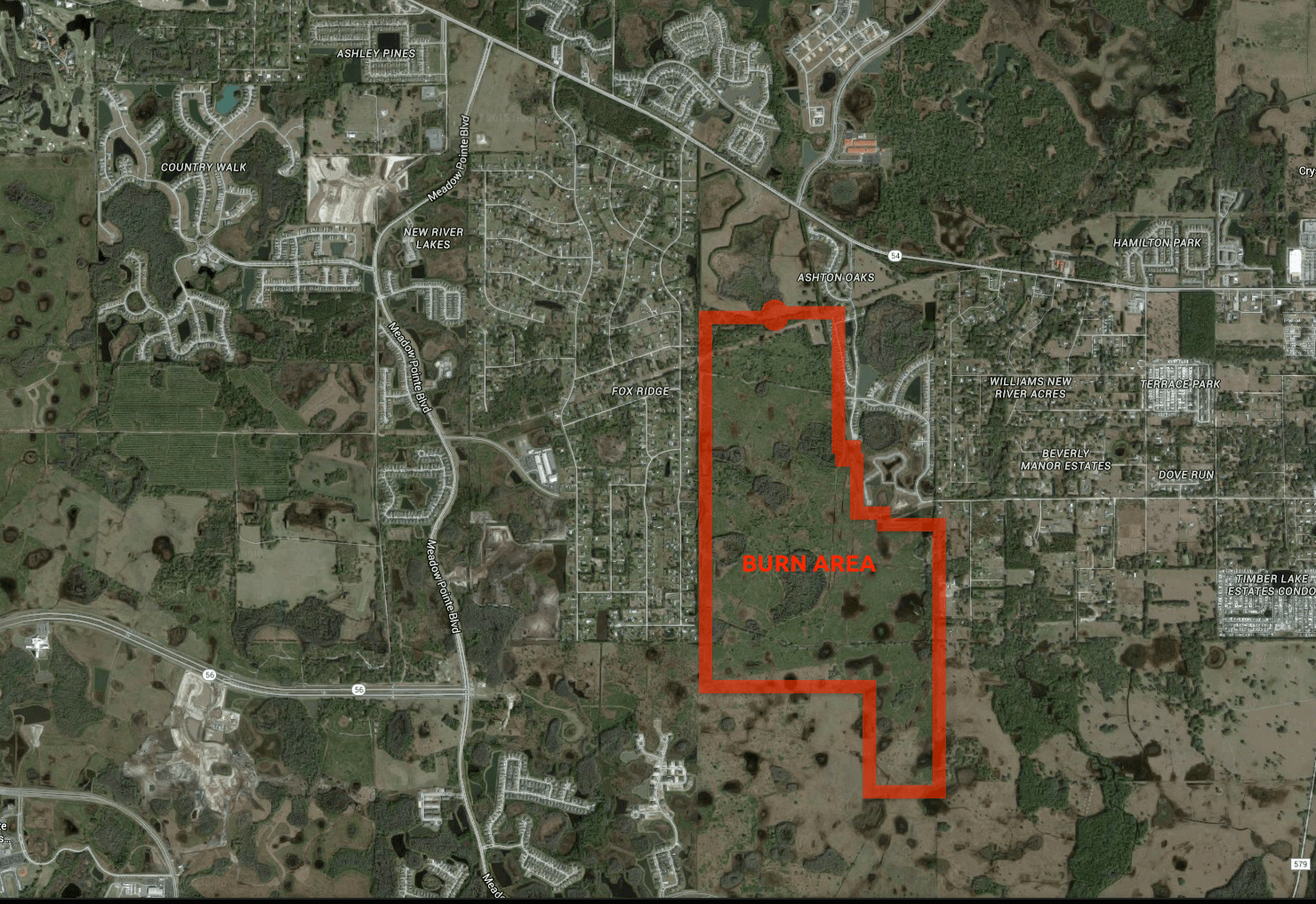 Prescribed Burn in Wesley Chapel this Week