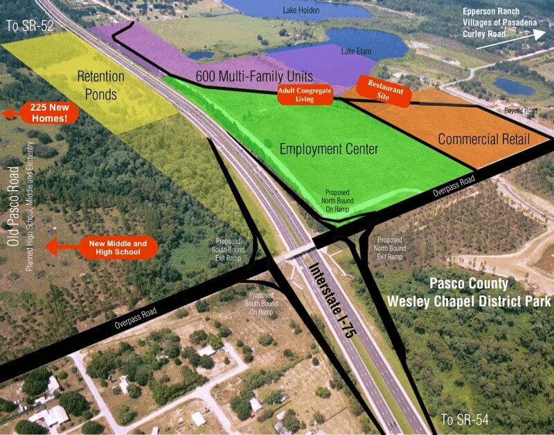 Wildcat Groves in Wesley Chapel