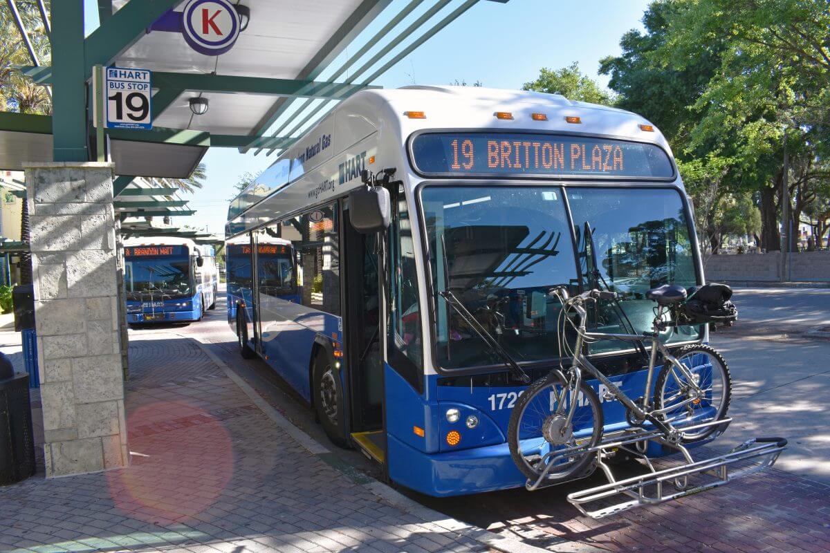 NEW: HART Bus Route 275LX from Wesley Chapel to Tampa International Airport for $2!
