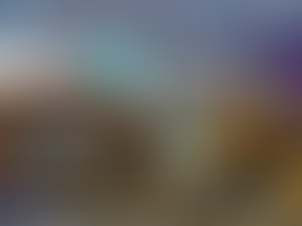 Pasco County Fair this Weekend!