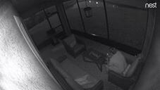 Wesley Chapel Man Arrested for Armed Burglary Attempt (Video)