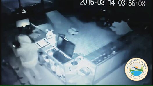 Wesley Chapel Gun Store Burglarized – At least 25 Guns Stolen