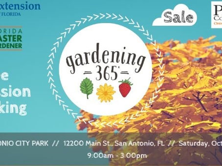 Gardening 365 Gardening and Plant sale festival