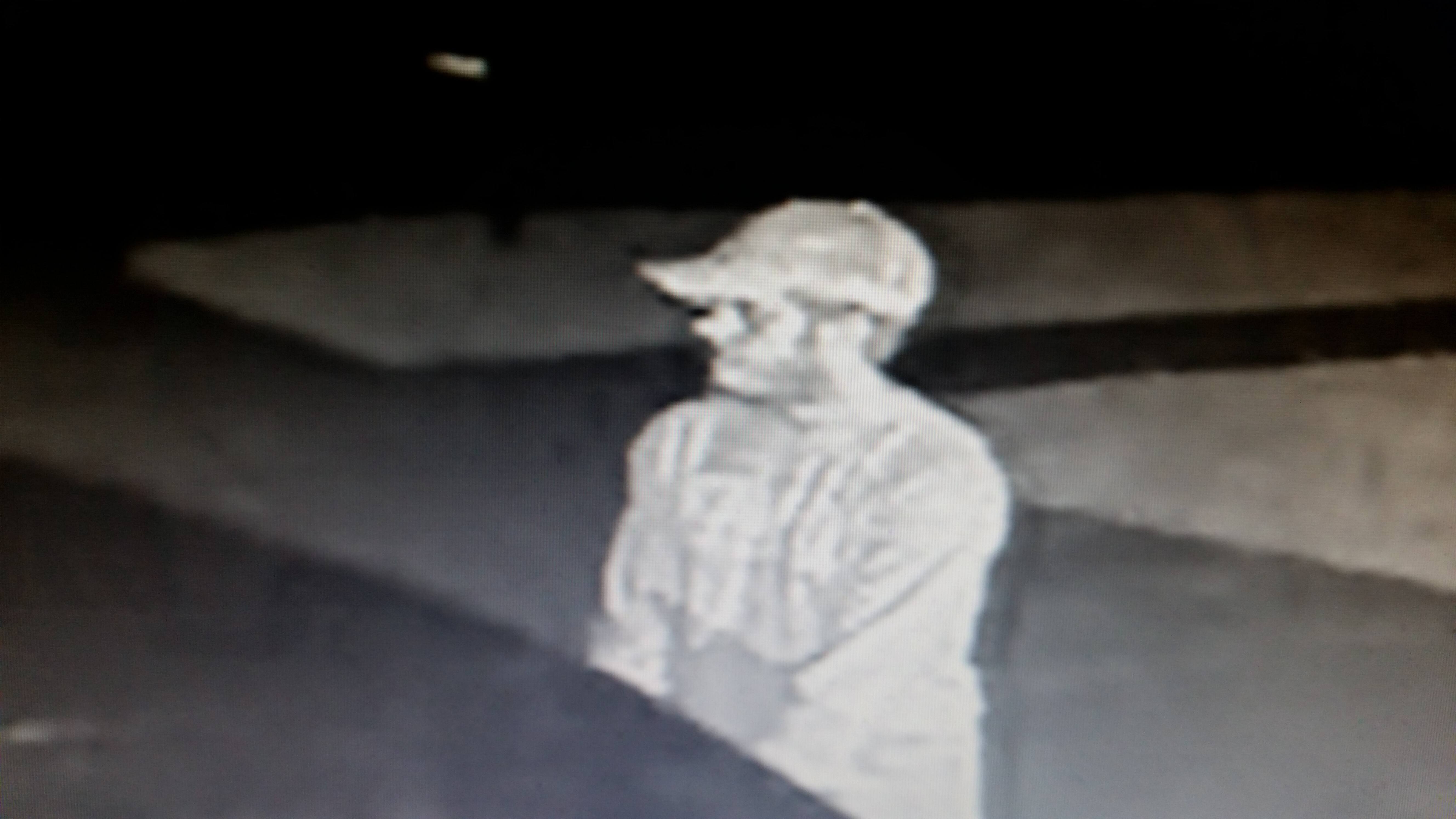 Car Burglars target Seven Oaks in Wesley Chapel