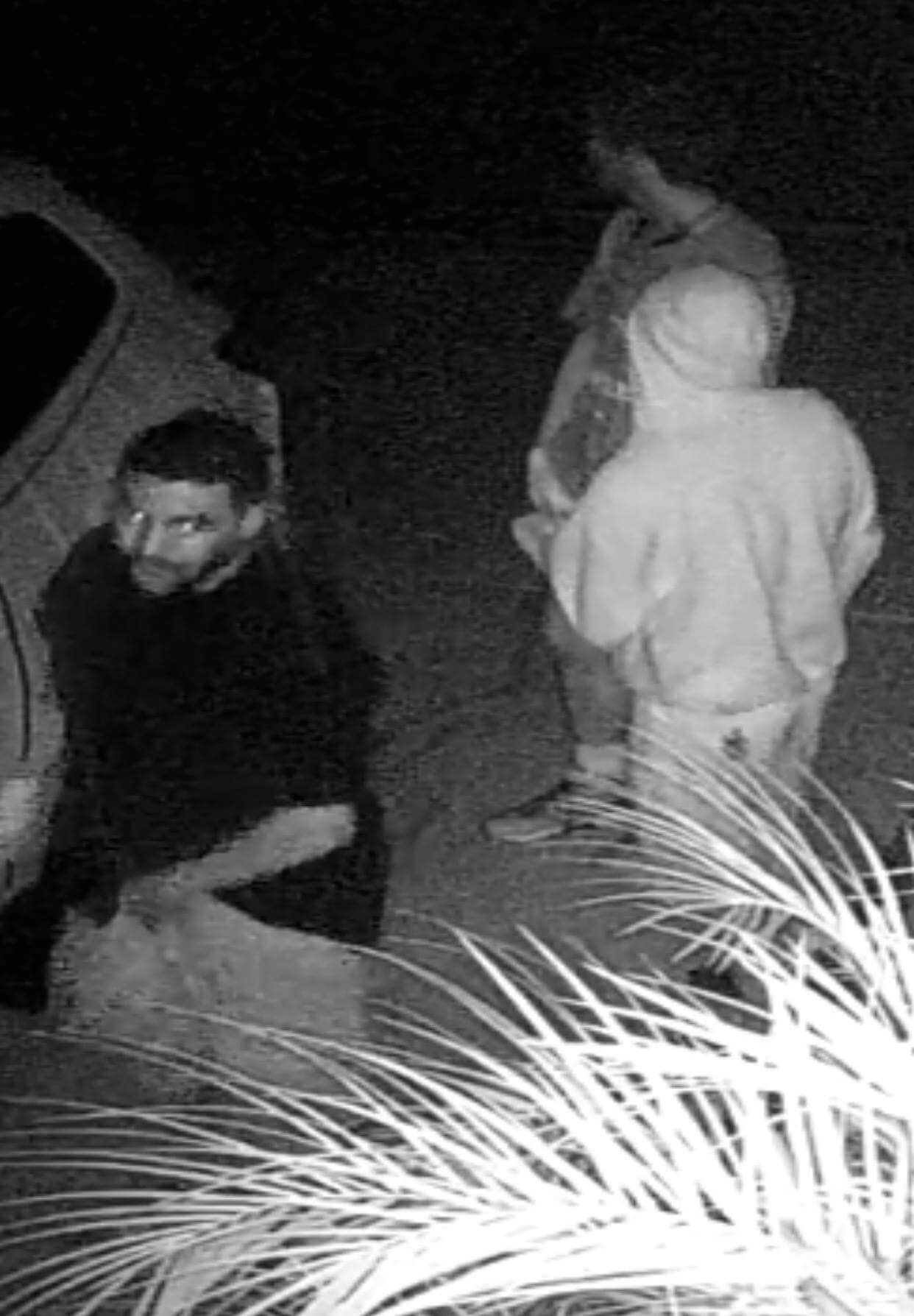 Burglary Suspects Targeting Wesley Chapel Area