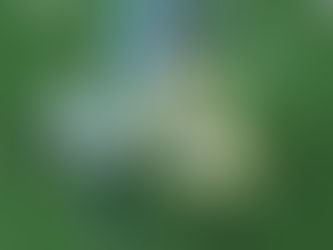 New plans for The Ridge at Wiregrass Ranch Community