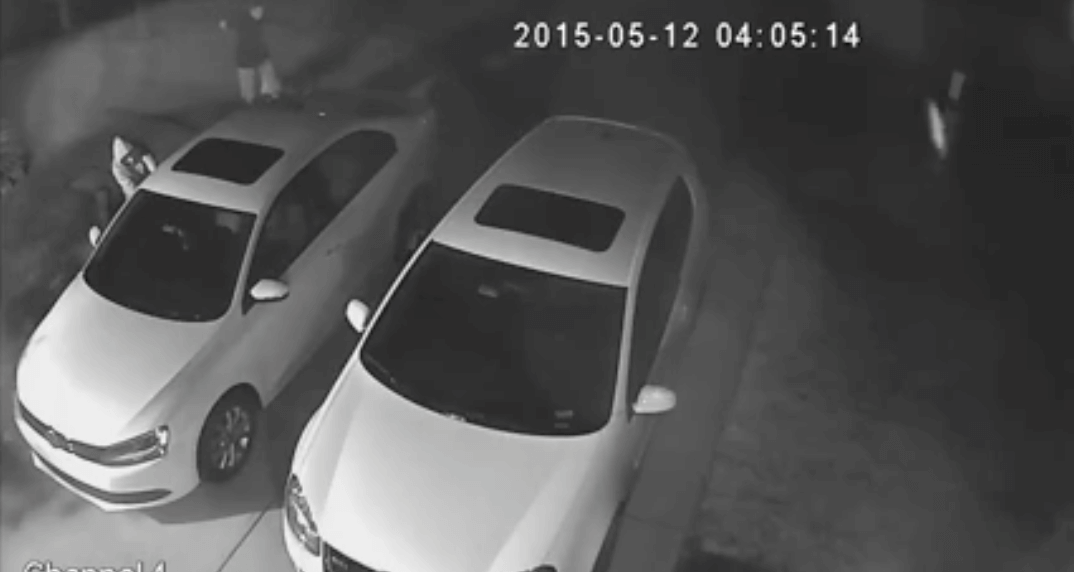 Wesley Chapel Teenage Burglars to be Released