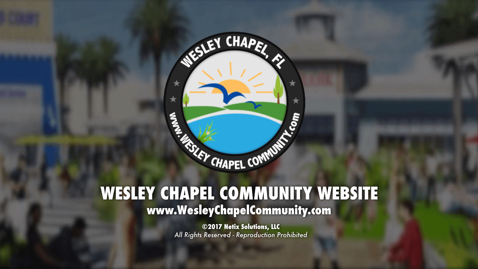Wesley Chapel Community Website Gains 366,000+ views in 2017 | Wesley ...