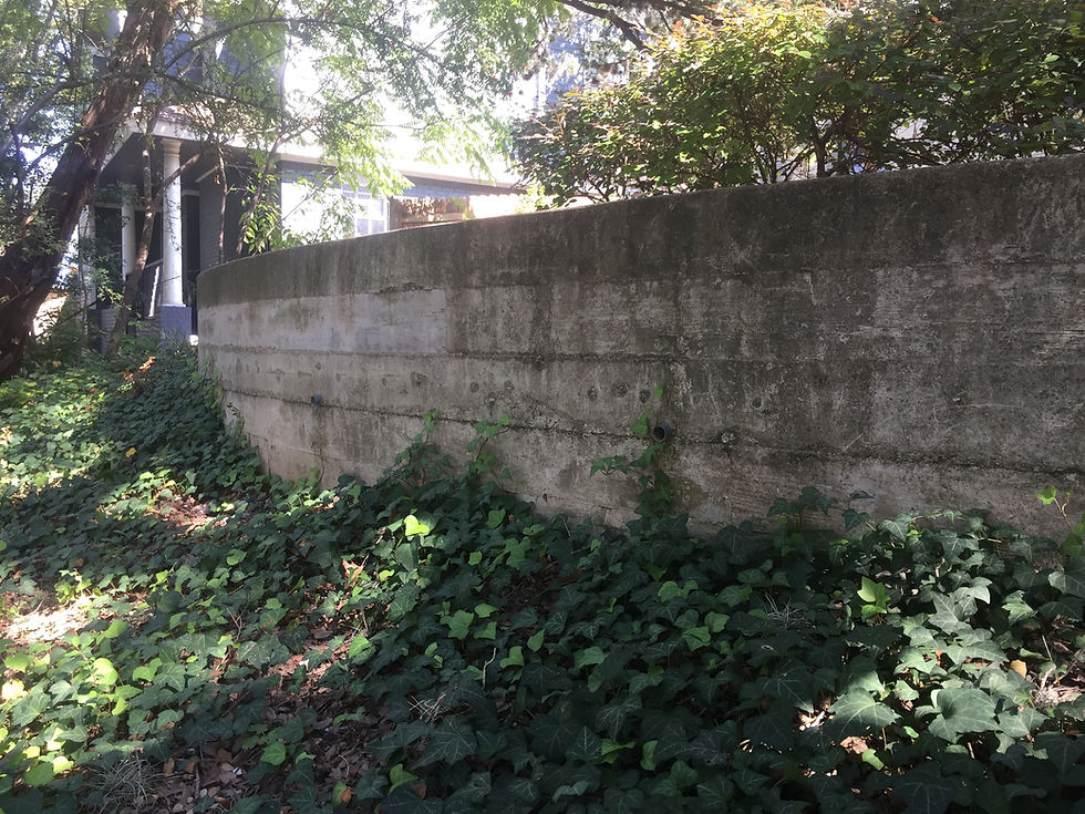 curve wall