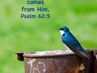 Looking for Rest?