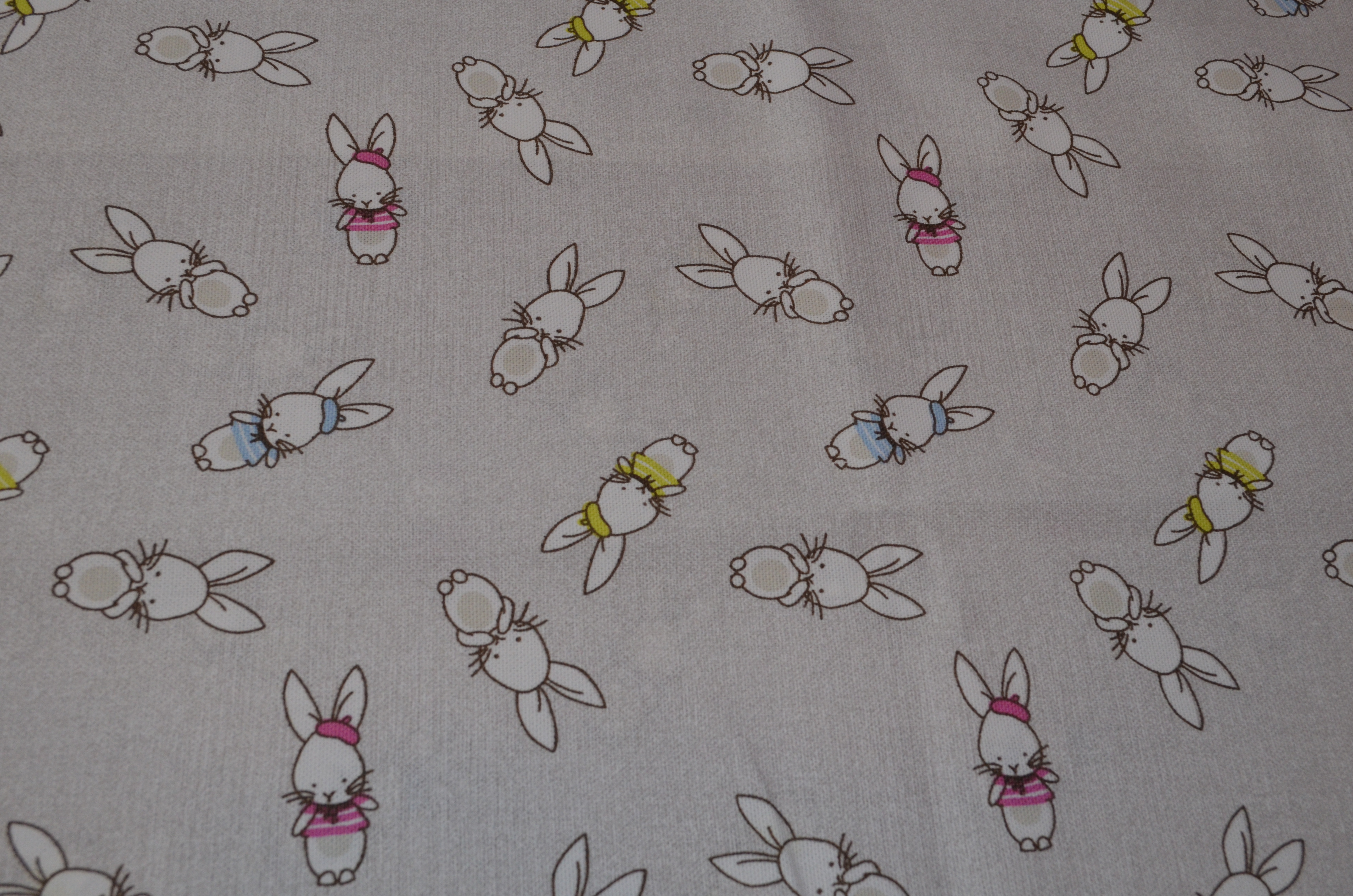Lapins multicolores
