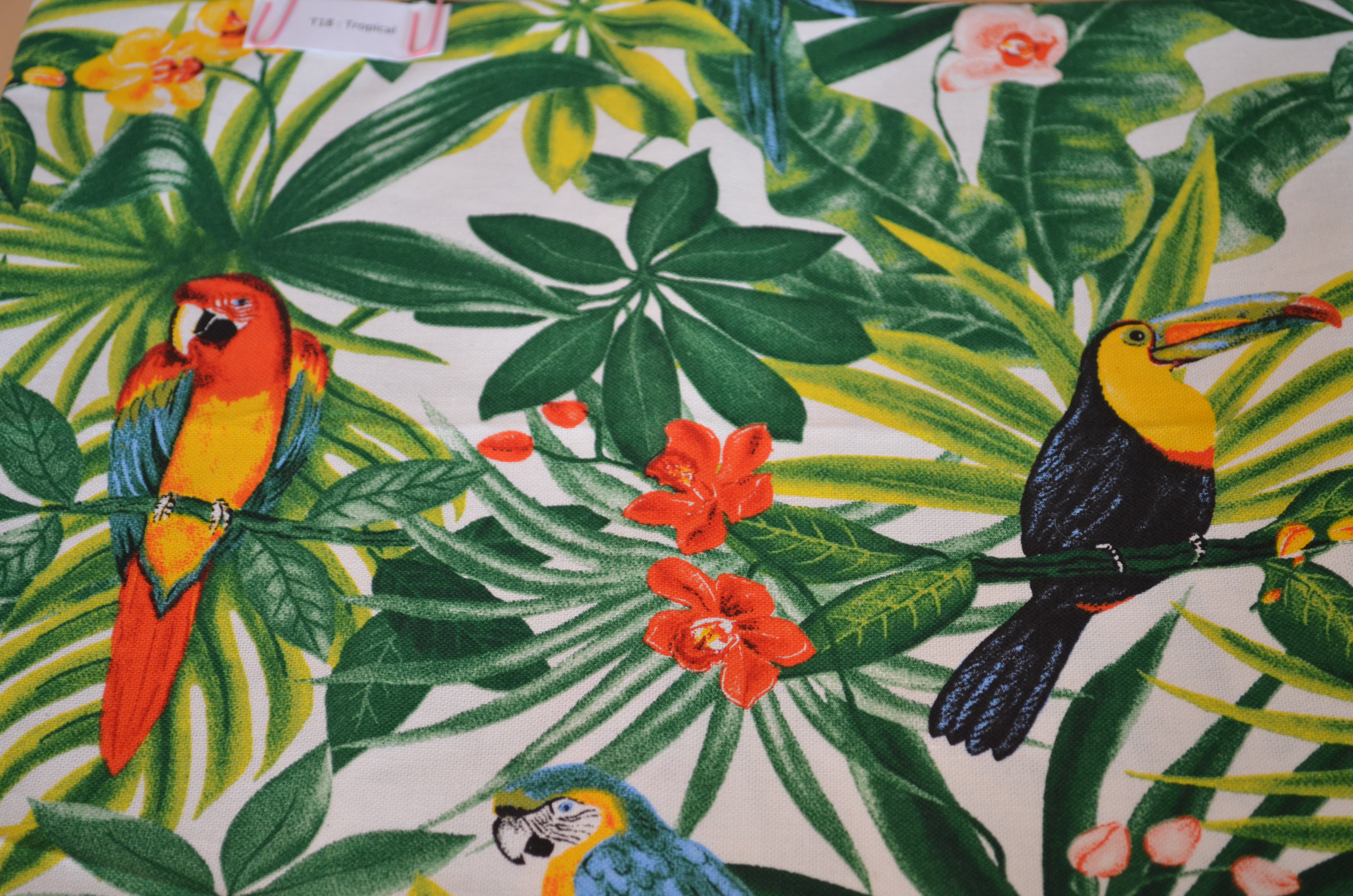 Motif Tropical