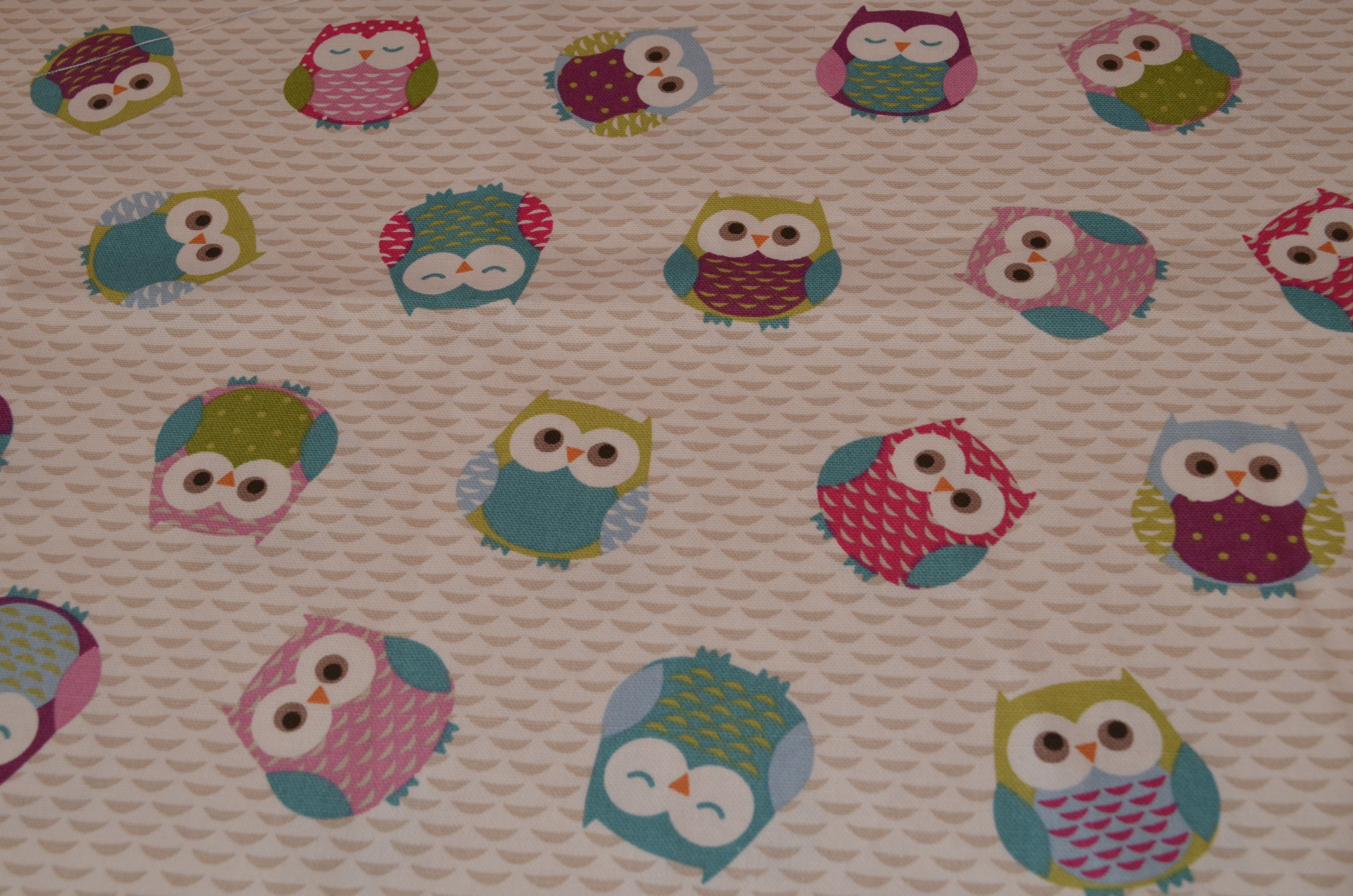 Chouettes multicolores